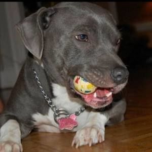 Meet your Posher, Al